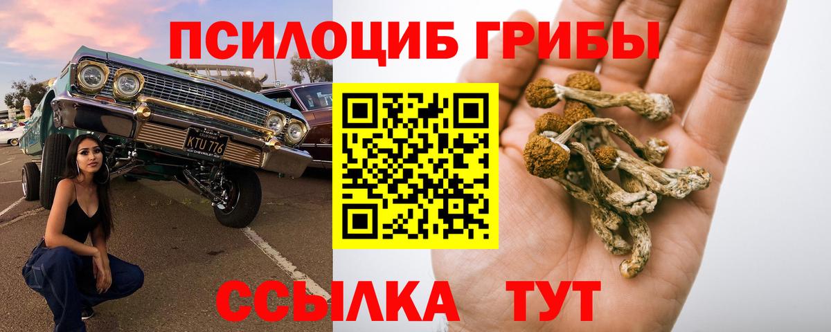 Галлюциногенные грибы мухоморы Гулькевичи
